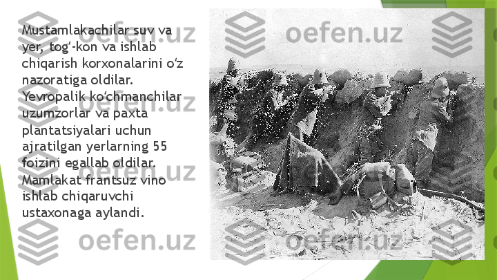 Mustamlakachilar suv va 
yer, tog -kon va ishlab ʻ
chiqarish korxonalarini o z 	
ʻ
nazoratiga oldilar.  
Yevropalik ko chmanchilar 	
ʻ
uzumzorlar va paxta 
plantatsiyalari uchun 
ajratilgan yerlarning 55 
foizini egallab oldilar.  
Mamlakat frantsuz vino 
ishlab chiqaruvchi 
ustaxonaga aylandi.                 