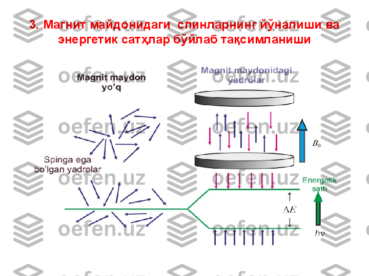 3.  Магнит майдонидаги  спин лар нинг  йўналиши ва 
энергетик сатҳлар бўйлаб тақсимланиши 