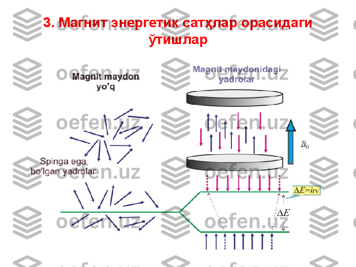 3. Магнит энергетик сатҳлар орасидаги 
ўтишлар 