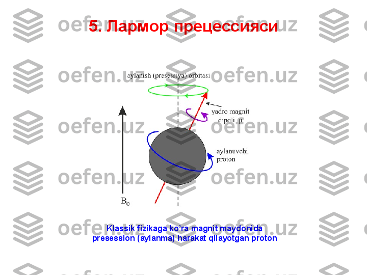 5.  Лармор прецессияси
Klassik fizikaga ko’ra magnit maydonida
presession (aylanma) harakat qilayotgan proton 