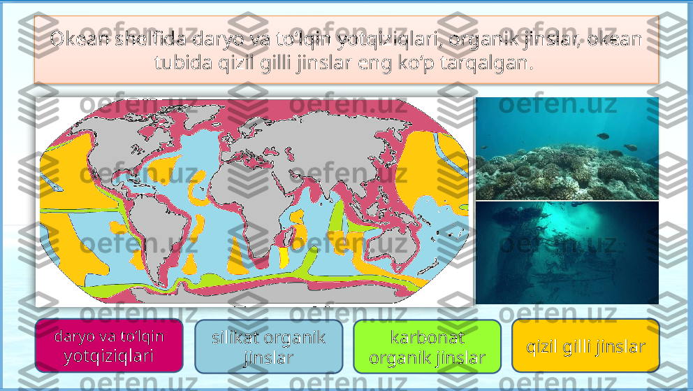 Okean shelfida daryo va to‘lqin yotqiziqlari, organik jinslar, okean 
tubida qizil gilli jinslar eng ko‘p tarqalgan. 
daryo va to‘lqin 
yotqiziqlari qizil gilli jinslarsilikat organik 
jinslar karbonat 
organik jinslar    