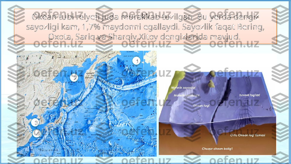 Okean tubi relyefi juda murakkab tuzilgan. Bu yerda dengiz 
sayozligi kam, 1,7% maydonni egallaydi. Sayozlik faqat Bering, 
Oxota, Sariq va Sharqiy Xitoy dengizlarida mavjud. 
3
4 1
2       