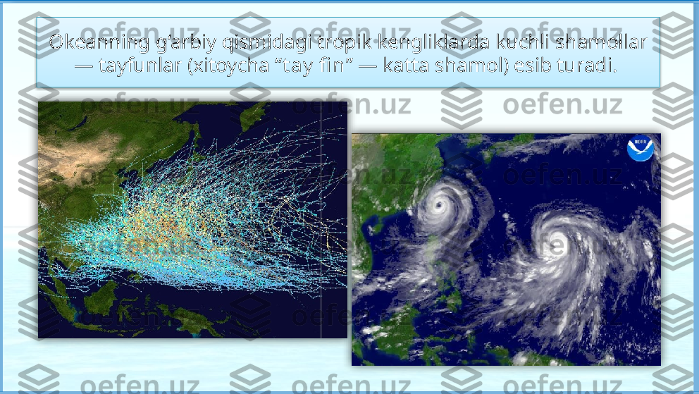 Okeanning g‘arbiy qismidagi tropik kengliklarda kuchli shamollar 
— tayfunlar (xitoycha “ t ay  fi n ” — katta shamol) esib turadi.      