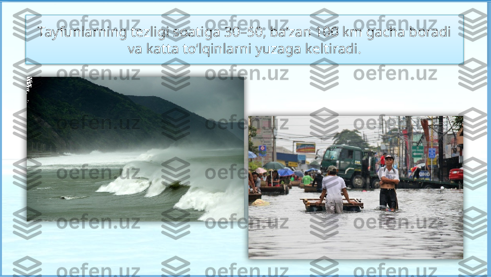 Tayfunlarning tezligi soatiga 30–50, ba’zan 100 km gacha boradi 
va katta to‘lqinlarni yuzaga keltiradi.     