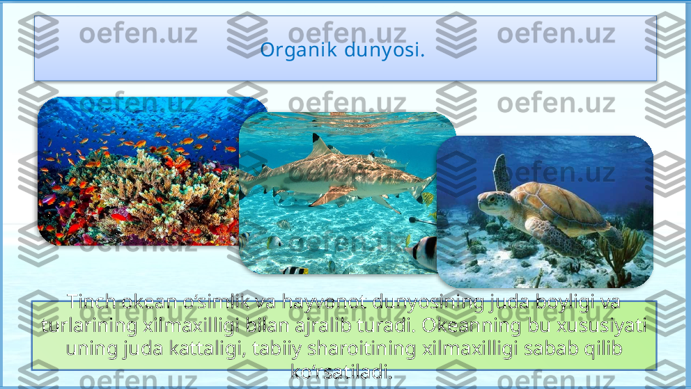 Organik  duny osi. 
Tinch okean o‘simlik va hayvonot dunyosining juda boyligi va 
turlarining xilmaxilligi bilan ajralib turadi. Okeanning bu xususiyati 
uning juda kattaligi, tabiiy sharoitining xilmaxilligi sabab qilib 
ko‘rsatiladi.       