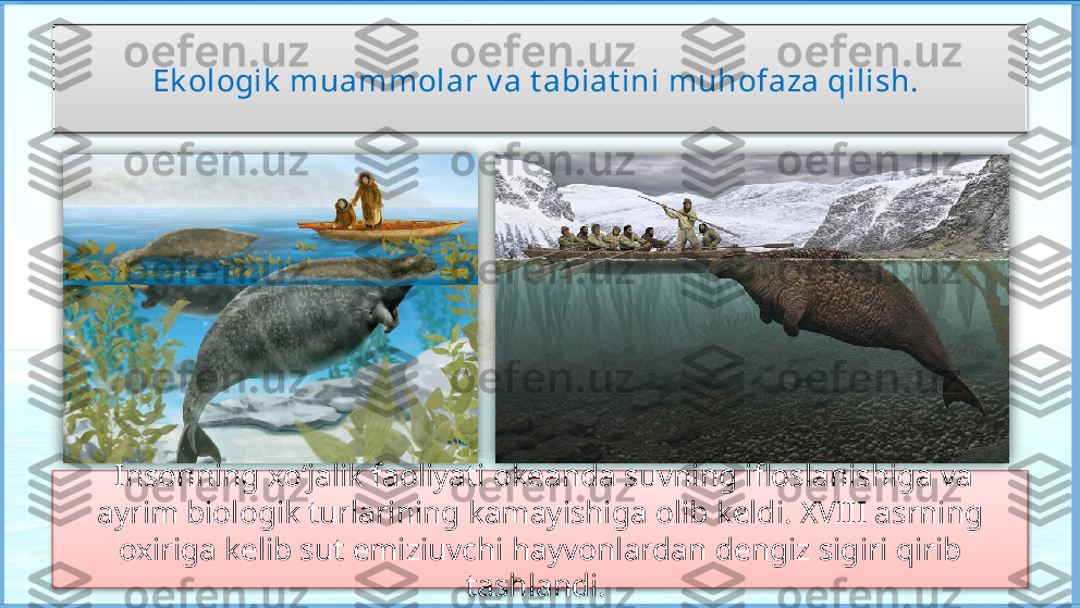 Ek ologik  muammolar v a t abiat ini muhofaza qilish. 
  Insonning xo‘jalik faoliyati okeanda suvning ifloslanishiga va 
ayrim biologik turlarining kamayishiga olib keldi. XVIII asrning 
oxiriga kelib sut emiziuvchi hayvonlardan dengiz sigiri qirib 
tashlandi.       