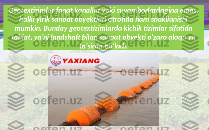 Geotextizimlar faqat kanallar yoki suvomborlardagina emas, 
balki yirik sanoat obyektlari atrofida ham shakllanishi 
mumkin. Bunday geotextizimlarda kichik tizimlar sifatida 
tabiat, ya’ni landshaft bilan sanoat obyekti o‘zaro aloqa va 
ta’sirda bo‘ladi. 