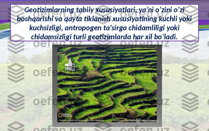 Geotizimlarning tabiiy xususiyatlari, ya’ni o‘zini o‘zi 
boshqarishi va qayta tiklanish xususiyatining kuchli yoki 
kuchsizligi, antropogen ta’sirga chidamliligi yoki 
chidamsizligi turli geotizimlarda har xil bo‘ladi. 