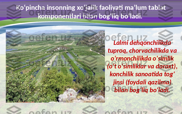 Ko‘pincha insonning xo‘jalik faoliyati ma’lum tabiat 
komponentlari bilan bog‘liq bo‘ladi. 
Lalmi dehqonchilikda 
tuproq, chorvachilikda va 
o‘rmonchilikda o‘simlik 
(o‘t o‘simliklar va daraxt), 
konchilik sanoatida tog‘ 
jinsi (foydali qazilma) 
bilan bog‘liq bo‘ladi. 