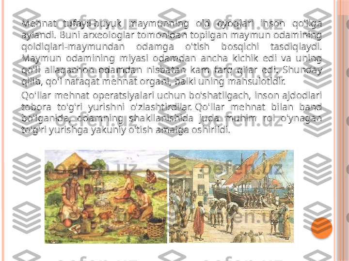 Mehnat  tufayli buyuk  maymunning  old  oyoqlari  inson  qo'liga 
aylandi. Buni arxeologlar tomonidan topilgan maymun odamining 
qoldiqlari-maymundan  odamga  o'tish  bosqichi  tasdiqlaydi. 
Maymun  odamining  miyasi  odamdan  ancha  kichik  edi  va  uning 
qo'li  allaqachon  odamdan  nisbatan  kam  farq  qilar  edi.  Shunday 
qilib, qo'l nafaqat mehnat organi, balki uning mahsulotidir.
Qo'llar  mehnat  operatsiyalari  uchun  bo'shatilgach,  inson  ajdodlari 
tobora  to'g'ri  yurishni  o'zlashtirdilar. Qo'llar  mehnat  bilan  band 
bo'lganida,  odamning  shakllanishida  juda  muhim  rol  o'ynagan 
to'g'ri yurishga yakuniy o'tish amalga oshirildi.     