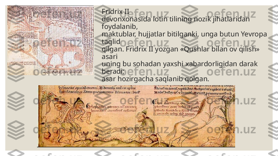 Fridrix II  
devonxonasida lotin tilining nozik jihatlaridan 
foydalanib,  
maktublar, hujjatlar bitilganki, unga butun Yevropa 
taqlid  
qilgan. Fridrix II yozgan «Qushlar bilan ov qilish» 
asari  
uning bu sohadan yaxshi xabardorligidan darak 
beradi;  
asar hozirgacha saqlanib qolgan. 