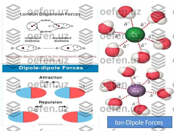 Ion-Dipole Forces  