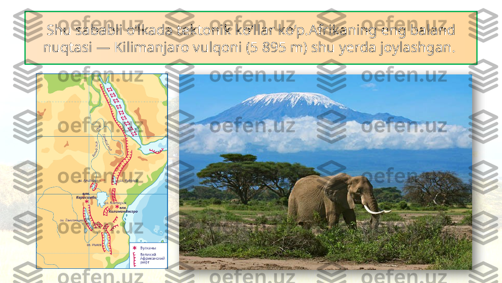 Shu sababli o‘lkada tektonik ko‘llar ko‘p.Afrikaning eng baland 
nuqtasi — Kilimanjaro vulqoni (5 895 m) shu yerda joylashgan.   