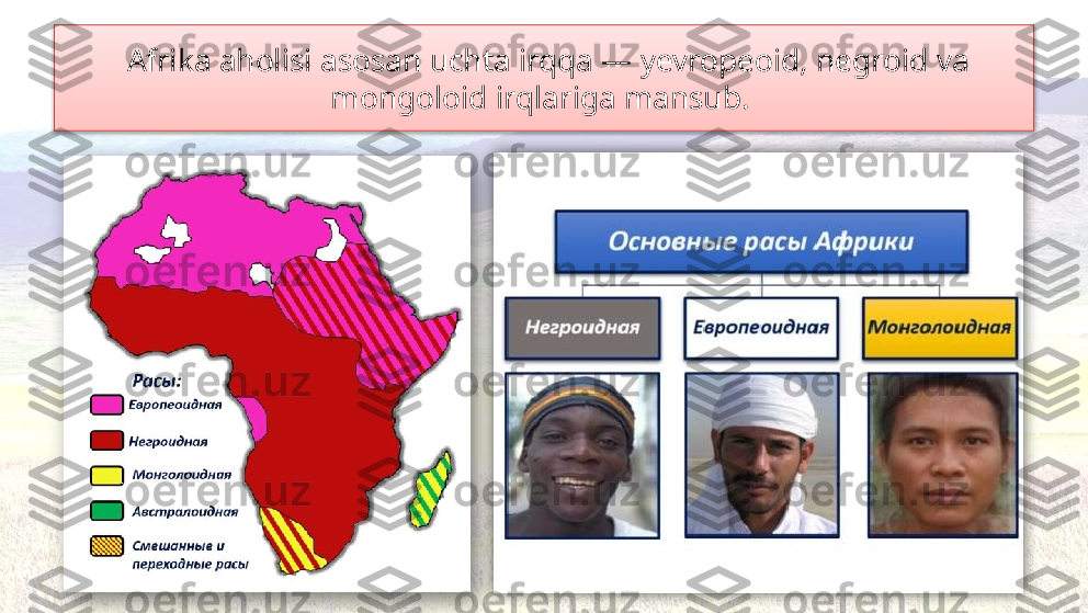   Afrika aholisi asosan uchta irqqa — yevropeoid, negroid va 
mongoloid irqlariga mansub.     