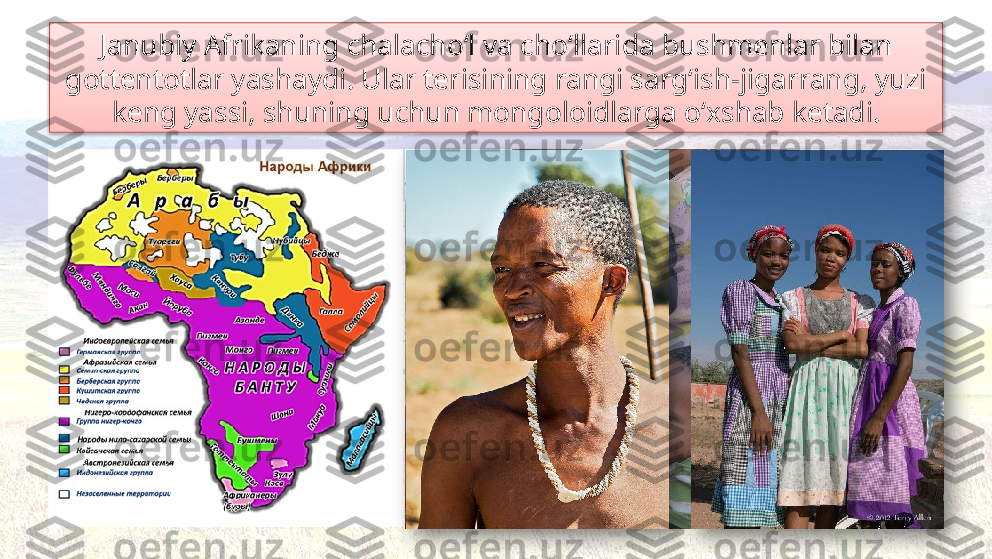Janubiy Afrikaning chalacho‘l va cho‘llarida bushmenlar bilan 
gottentotlar yashaydi. Ular terisining rangi sarg‘ish-jigarrang, yuzi 
keng yassi, shuning uchun mongoloidlarga o‘xshab ketadi.    