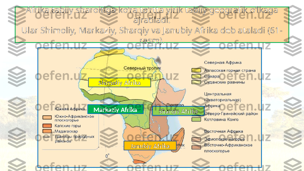 Afrika tabiiy sharoitiga ko‘ra to‘rtta yirik tabiiy geografik o‘lkaga 
ajratiladi.
Ular Shimoliy, Markaziy, Sharqiy va Janubiy Afrika deb ataladi (61-
rasm).
Shimoliy Afrika
Sharqiy AfrikaMarkaziy Afrika
Janubiy Afrika  