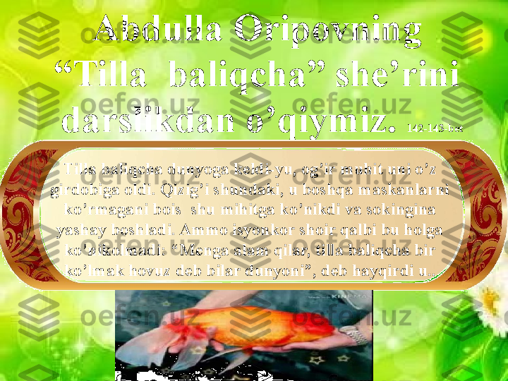 Abdulla Oripovning  
“Tilla  baliqcha” she’rini  
darslikdan o’qiymiz.  142-143-bet 
Tilla baliqcha dunyoga keldi-yu, og’ir muhit uni o’z 
girdobiga oldi. Qizig’i shundaki, u boshqa maskanlarni 
ko’rmagani bois  shu mihitga ko’nikdi va sokingina 
yashay boshladi. Ammo isyonkor shoir qalbi bu holga 
ko’nikolmadi: “Menga alam qilar, tilla baliqcha bir 
ko’lmak hovuz deb bilar dunyoni”, deb hayqirdi u..                 