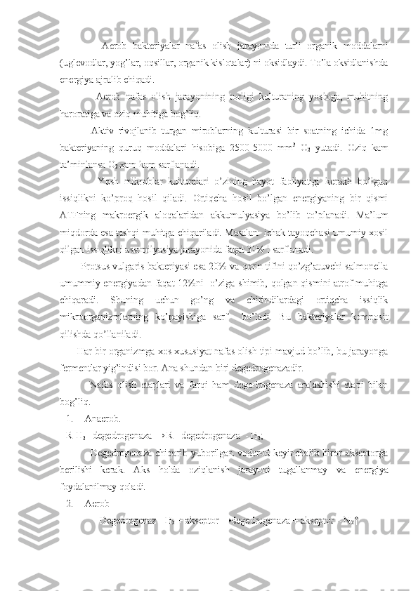             Aerob   bakteriyalar   nafas   olish   jarayonida   turli   organik   moddalarni
(uglevodlar, yog’lar, oqsillar, organik kislotalar) ni oksidlaydi. To’la oksidlanishda
energiya ajralib chiqadi. 
            Aerob   nafas   olish   jarayonining   torligi   kulturaning   yoshiga,   muhitning
haroratiga va oziq muhitiga bog’liq. 
          Aktiv   rivojlanib   turgan   miroblarning   kulturasi   bir   soatning   ichida   1mg
bakteriyaning   quruq   moddalari   hisobiga   2500-5000   mm 3
  O
2   yutadi.   Oziq   kam
ta’minlansa O
2  xam kam sarflanadi. 
            Yosh   mikroblar   kulturalari   o’zining   hayot   faoliyatigi   kerakli   bo’lgan
issiqlikni   ko’proq   hosil   qiladi.   Ortiqcha   hosil   bo’lgan   energiyaning   bir   qismi
ATFning   makroergik   aloqalaridan   akkumulyasiya   bo’lib   to’planadi.   Ma’lum
miqdorda esa tashqi muhitga chiqariladi. Masalan: ichak tayoqchasi umumiy xosil
qilgan issiqlikni assimilyasiya jarayonida faqat 31% i sarflanadi. 
      Protsus vulgaris bakteriyasi esa 20% va qorin tifini qo’zg’atuvchi salmonella
umummiy energiyadan faqat  12%ni   o’ziga shimib, qolgan qismini  atrof-muhitga
chiqaradi.   Shuning   uchun   go’ng   va   chirindilardagi   ortiqcha   issiqlik
mikroorganizmlarning   ko’payishiga   sarf     bo’ladi.   Bu   bakteriyalar   komposit
qilishda qo’llaniladi.
    Har bir organizmga xos xususiyat nafas olish tipi mavjud bo’lib, bu jarayonga
fermentlar yig’indisi bor. Ana shundan biri degedrogenazadir.
          Nafas   olish   etaplari   va   farqi   ham   degedrogenaza   aralashishi   etapi   bilan
bog’liq. 
1. Anaerob.   
R-H
2  +degedrogenaza   → R+ degedrogenaza  - H
2 ;
              Degedrogenaza  chiqarib  yuborilgan  vodorod  keyinchalik   biror   akseptorga
berilishi   kerak.   Ak s   h olda   oziqlanish   jarayoni   tugallanmay   va   energiya
foydalanilmay qoladi. 
2. Aerob 
Degedrogenaz --H
2  + akseptor →degedrogenaza + akseptor – N
2 ↑ 