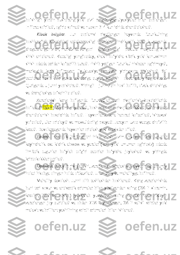 bo’shlig’i   yorqin   pushtirang   yoki   qizil   rangda   granulyasiyalar   bilan   qoplangan.
Infiltrat so’riladi, og’riq so’nadi va nuqson 3–4 kun ichida chandiqlashadi.
Klinik   belgilar.   Jun   qoplamsi   rivojlangan   hayvonda   furunkulning
boshlang’ich   bosqichlari   aniqlanmasligi   mumkin.   Sinchkovlik   bilan   kuzatganda
chegaralangan zich, markazida zangori – sarg’ish dog’ – pustula   mavjud og’riqli
shish   aniqlanadi.   Kattaligi   yong’oqday,   shakli   bo’yicha   sferik   yoki   konussimon
shish odatda teridan ko’tarilib turadi. Pishib yetilgan furunkul nisbatan og’rimaydi,
markazida   katta   bo’lmagan   flyuktuasiya   beradigan   yiringxona   joylashadi.   Sal
qattiqroq bosib ko’rilganda tashqariga quyuq, sarg’ish – oq rangda yiring chiqadi.
Quriganda u junni yopishtiradi. Yiringli – junli tiqin hosil bo’lib, o’zak chiqishiga
va drenajlashga to’sqinliq qiladi. 
Zararlanish   keng   bo’lganda   furunkullar   turli   rivojlanish   bosqichlarida
bo’ladi (3 –rasm ). Ayrimlari yoriladi, boshqalari endi rivojlanib keladi, uchinchilari
chandiqlanish   bosqichida   bo’ladi.   Hayvonlarda   tana   harorati   ko’tariladi,   ishtaxasi
yo’qoladi, ular  oriqlaydi  va maxsuldorligi psayadi. Jarayon uzoq vaqtga cho’zilib
ketadi. Davolamaganda hayvonlar oriqlash yoki sepsisdan o’ladi.
Tashhis.   Enzooti k   limfangoit ni   inkor   qilish   lozim.   Bu   kasallikda   tugunlar
keyinchalik   esa   kichik   abssess   va   yaralar   (kam   yoki   umuman   og’riqsiz)   odatda
limfatik   tugunlar   bo’ylab   to’g’ri   qatorlar   bo’yicha   joylashadi   va   yiringda
kriptokokklar topiladi.
Davolash.   Jarayon rivojlanishi, zararlanish darajasi va hayvonning umumiy
holati hisobga olingan holda o’tkaziladi. U umumiy va mahalliyga bo’linadi. 
Mahalliy   davolash.   Junni   olib   tashlashdan   boshlanadi.   Keng   zararlanishda
buni   teri   sovun   va   antiseptik   eritmalar   bilan   yuvilgandan   so’ng   (2%   li   xloramin,
kreolin,   lizol   va   boshq.)   yaxshilab   yuvgandan   so’ng   bajarish   lozim.   Keyin
zararlangan   joy   quritiladi   va   obdan   70%   li   yo dlangan,   2%   li   salisil   spirtlar   yoki
malaxit va brilliant yashilining spirtli eritmalari  bilan ishlanadi. 