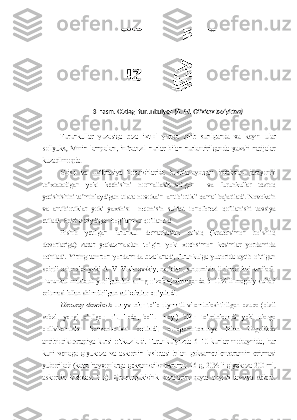 3–rasm.  Otdagi furunkulyoz   (B. M. Olivkov  bo’yicha )
Furunkullar   yuzasiga   toza   ixtiol   yupqa   qilib   surilganda   va   keyin   ular
sollyuks,   Minin   lampalari,   infraqizil   nurlar   bilan   nurlantirilganda   yaxshi   natijalar
kuzatilmoqda.
Shish   va   infiltrasiya   bosqichlarida   boshlanayotgan   infeksion   jarayonni
to’xtatadigan   yoki   kechishni   normallashtiradigan     va   furunkullar   tezroq
yetishishini ta’minlaydigan qisqa novokain–antibiotikli qamal bajariladi. Novokain
va   antibiotiklar   yoki   yaxshisi     neomisin   sulfati   ionoforezi   qo’llanishi   tavsiya
etiladi. Spirt quriydigan bog’lamlar qo’llanadi.
Pishib   yetilgan   furunkul   demarkasion   to’siq   (kratersimon   bo’shliq
devorlariga)   zarar   yetkazmasdan   to’g’ri   yoki   xochsimon   kesimlar   yordamida
ochiladi. Yiring tampon yordamida tozalanadi, furunkulga yuqorida aytib o’tilgan
spirtli eritmalar yoki A. V. Vishnevskiy, naftalan, sintomisin linimentlari suriladi.
Furunkul mustaqil yorilgandan so’ng o’zak ajralmaganda 5–10% li magniy sulfati
eritmasi bilan shimdirilgan salfetkalar qo’yiladi.
Umumiy davolash.  Hayvonlar to’la qiymatli vitaminlashtirilgan ozuqa (qizil
sabzi,   yangi   o’rilgan   o’t,   beda,   baliq   moyi)   bilan   ta’minlanadi   yoki   ularga
polivitaminlar   konsentratlari   beriladi;   autogemotera piya   bilan   birgalikda
antibiotikoterapiya   kursi   o’tkaziladi.   Furunkulyozda   6–10   kunlar   mobaynida,   har
kuni   venaga   glyukoza   va   askorbin   kislotasi   bilan   geksametilentetramin   eritmasi
yuboriladi (katta hayvonlarga geksameti lentetramin 16 g, 20% li glyukoza 200 ml,
askorbin   kislo tasi   1   g).   Qonning   kichik   dozalarini   qayta   quyish   tavsiya   etiladi. 