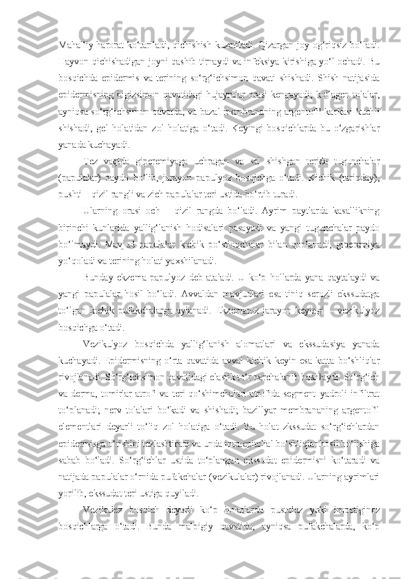 Mahalliy harorat ko‘tariladi, qichishish kuzatiladi. Qizargan joy og‘riqsiz bo‘ladi.
Hayvon qichishadigan joyni qashib tirnaydi va infeksiya kirishiga yo‘l ochadi. Bu
bosqichda   epidermis   va   terining   so‘rg‘ichsimon   qavati   shishadi.   Shish   natijasida
epidermisning bigizsimon qavatidagi  hujayralar  orasi  kengayadi; kollagen tolalar,
ayniqsa so‘rg‘ichsimon qavatda, va bazal membrananing argentofil kar kasi kuchli
shishadi,   gel   holatidan   zol   holatiga   o‘tadi.   Keyingi   bosqichlarda   bu   o‘zgarishlar
yanada kuchayadi. 
Tez   vaqtda   giperemiyaga   uchragan   va   sal   shishgan   terida   tugunchalar
(papulalar)   paydo   bo‘lib,   jarayon   papulyoz   bosqichga   o‘tadi.   Kichik   (tariqday),
pushti – qizil rangli va zich papulalar teri ustida bo‘rtib turadi.
Ularning   orasi   och   –   qizil   rangda   bo‘ladi.   Ayrim   paytlarda   kasallikning
birinchi   kunlarida   yallig‘lanish   hodisalari   pasayadi   va   yangi   tugunchalar   paydo
bo‘lmaydi.   Mavjud   papulalar   kichik   po‘stloqchalar   bilan   qoplanadi,   giperemiya
yo‘qoladi va terining holati yaxshilanadi.
Bunday   ekzema   papulyoz   deb   ataladi.   U   ko‘p   hollarda   yana   qaytalaydi   va
yangi   papulalar   hosil   bo‘ladi.   Avvaldan   mavjudlari   esa   tiniq   serozli   ekssudatga
to‘lgan   kichik   pufakchalarga   aylanadi.   Ekzematoz   jarayon   keyingi   –   vezikulyoz
bosqichga o‘tadi.
Vezikulyoz   bosqichda   yallig‘lanish   alomatlari   va   ekssudasiya   yanada
kuchayadi.   Epidermisning   o‘rta   qavatida   avval   kichik   keyin   esa   katta   bo‘shliqlar
rivojlanadi. So‘rg‘ichsimon qavatidagi elastik to‘r parchalanib boshlaydi. So‘rg‘ich
va   derma,   tomirlar   atrofi   va   teri   qo‘shimchalari   atrofida   segment–yadroli   infiltrat
to‘planadi;   nerv   tolalari   bo‘kadi   va   shishadi;   bazillyar   membrananing   argentofil
elementlari   deyarli   to‘liq   zol   holatiga   o‘tadi.   Bu   holat   zkssudat   so‘rg‘ichlardan
epidermisga o‘tishini tezlashtiradi va unda intraepitelial bo‘shliqlar hosil bo‘lishiga
sabab   bo‘ladi.   So‘rg‘ichlar   ustida   to‘plangan   ekssudat   epidermisni   ko‘taradi   va
natijada papulalar o‘rnida pufakchalar (vezikulalar) rivojlanadi. Ularning ayrimlari
yorilib, ekssudat teri ustiga quyiladi.
Vezikulez   bosqich   deyarli   ko‘p   holatlarda   pustu lez   yoki   impetiginoz
bosqichlarga   o‘tadi.   Bunda   malpigiy   qavatida,   ayniqsa   pufakchalarda,   ko‘p 