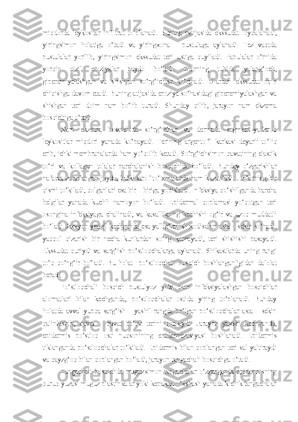 miqdorda   leykosi tar   infiltrat   to‘planadi.   Buning   natijasida   ekssudat   loyqalanadi,
yiringsimon   holatiga   o‘tadi   va   yiringxona   –   pustulaga   aylanadi.   Tez   vaqtda
pustulalar   yorilib,   yiringsimon   ekssudat   teri   ustiga   quyiladi.   Papulalar   o‘rnida
yorqin   qizil   eroziyalar   paydo   bo‘ladi.   Ularning   tubida   yalang‘och,
giperemiyalashgan   va   shishgan   so‘rg‘ichlar   ko‘rinadi.   Ulardan   ekssudat   oqib
chiqishga davom etadi. Buning atijasida eroziya so‘hasidagi giperemiyalashgan va
shishgan   teri   doim   nam   bo‘lib   turadi.   Shunday   qilib,   jarayon   nam   ekzema
bosqichiga o‘tadi. 
Nam   ekzema   bosqichida   so‘rg‘ichlar   va   dermada   segment–yaderoli
leykositlar   miqdori   yanada   ko‘payadi.   Terining   a rgentofil   karkas i   deyarli   to‘liq
erib, ichki membranalarda ham yo‘qolib ketadi. So‘rg‘ichsimon qavatining elastik
to‘ri   va   kollagen   tolalar   parchalanish   bosqichida   bo‘ladi.   Bunday   o‘zgarishlar
nafaqat zararlangan joyda, balki atrof  to‘qimalarda ham  kuzatiladi. Junlarning bir
qismi to‘kiladi, qolganlari esa bir – biriga yopishadi. Infeksiya qo‘shilganda barcha
belgilar   yanada   kuchli   namoyon   bo‘ladi.   Epidermal   qoplamasi   yo‘qotgan   teri
osongina   infeksiyaga   chalinadi,   va   kasallikning   kechishi   og‘ir   va   uzoq   muddatli
bo‘ladi. Jarayon yengil kechganda esa yallig‘lanish xodisalari asta – sekin so‘nadi,
yaqqol   qizarish   bir   necha   kunlardan   so‘ng   kamayadi,   teri   shishishi   pasayadi.
Ekssudat   quriydi   va   sarg‘ish   po‘stloqchalarga   aylanadi.   Shikastlarda   uning   rangi
to‘q   qo‘ng‘ir   bo‘ladi.   Bu   holat     po‘stloqchali   bosqich   boshlanganligidan   dalolat
beradi.
Po‘stloqchali   bosqich   pustulyoz   yoki   nam   infeksiyalashgan   bosqichlar
alomatlari   bilan   kechganda,   po‘stloqchalar   ostida   yiring   to‘planadi.   Bunday
holatda   avval   yupqa   sarg‘ish   –   yashil   rangda   bo‘lgan   po‘stloqchalar   asta   –   sekin
qalinlashib,   qavat   –   qavat   bo‘lib   terini   qoplaydi.   Jarayon   yaxshi   kechganda,
epidermis   po‘stloq   osti   nuqsonining   epidermizasiyasi   boshlanadi.   Epidermis
tiklanganda  po‘stloqchalar   to‘kiladi.  Epidermis  bilan qoplangan  teri  sal  yaltiraydi
va qayzg‘oq bilan qoplangan bo‘ladi, jarayon tangachali bosqichga o‘tadi.  
Tangachali   bosqichda   muguzsimon   tangachalar   o‘zgarganda   epidermisning
quruq yuzasi muguz plastinkalar yoki kepakka o‘xshash yanada kichik tangachalar 