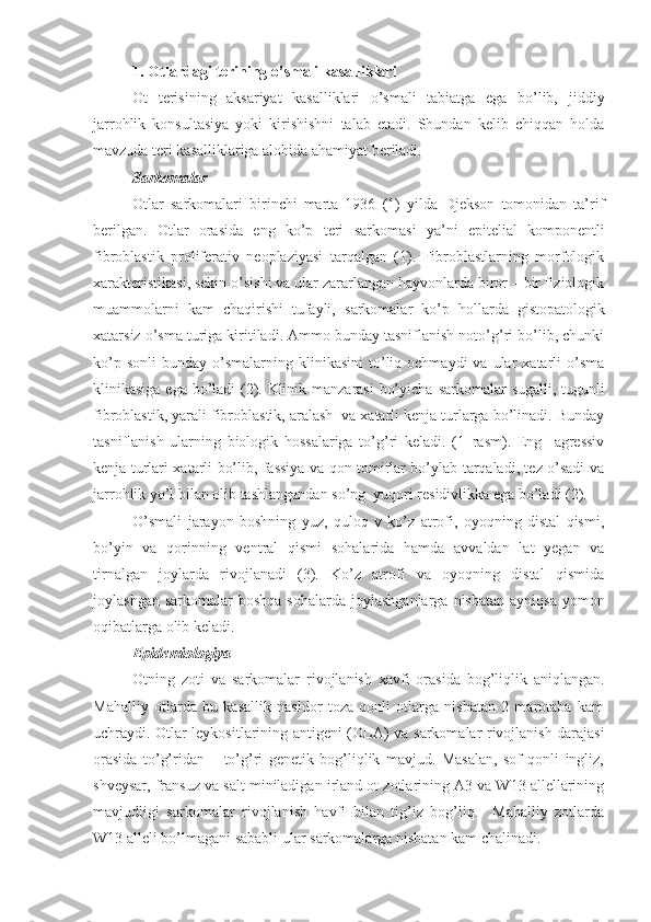 1.  Otlarda gi  terining o’smali kasalliklari 
Ot   terisining   aksariyat   kasalliklari   o’smali   tabiatga   ega   bo’lib,   jiddiy
jarrohlik   konsultasiya   yoki   kirishishni   talab   etadi.   Shundan   kelib   chiqqan   holda
mavzuda teri kasalliklariga alohida ahamiyat beriladi. 
Sarkomalar
Otlar   sarkomalar i   birinchi   marta   1936   (1)   yilda   Djekson   tomonidan   ta’rif
berilgan.   Otlar   orasida   eng   ko’p   teri   sarko masi   ya’ni   epitelial   komponentli
fibroblastik   proliferativ   neoplaziyasi   tarqalgan   (1).   Fibroblastlarning   morfologik
xarakteristikasi, sekin o’sishi va ular zararlangan hayvonlarda biror – bir fiziologik
muammolarni   kam   chaqirishi   tufayli,   sarkomalar   ko’p   hollarda   gistopatologik
xatarsiz o’sma turiga kiritiladi. Ammo bunday tasniflanish noto’g’ri bo’lib, chunki
ko’p  sonli   bunday  o’smalarning   klinikasini   to’liq  ochmaydi  va   ular  xatarli   o’sma
klinikasiga ega bo’ladi  (2). Klinik manzarasi  bo’yicha   sarkomalar   sugalli, tugunli
fibroblastik, yarali fibroblastik, aralash  va xatarli kenja turlarga bo’linadi. Bunday
tasniflanish   ularning   biologik   hossalariga   to’g’ri   keladi.   (1–rasm).   Eng     agressiv
kenja turlari xatarli bo’lib, fassiya va qon tomirlar bo’ylab tarqaladi, tez o’sadi va
jarrohlik yo’l bilan olib tashlangandan so’ng  yuqori residivlikka ega bo’ladi (2).
O’smali   jarayon   boshning   yuz,   quloq   v   ko’z   atrofi,   oyoqning   distal   qismi,
bo’yin   va   qorinning   ventral   qismi   sohalarida   hamda   avvaldan   lat   yegan   va
tirnalgan   joylarda   rivojlanadi   (3).   Ko’z   atrofi   va   oyoqning   distal   qismida
joylashgan   sarkomalar   boshqa  sohalarda  joylashganlarga  nisbatan   ayniqsa  yomon
oqibatlarga olib keladi.
Epidemiologiya
Otning   zoti   va   sarkomalar   rivojlanish   xavfi   orasida   bog’liqlik   aniqlangan.
Mahalliy   otlarda   bu   kasallik   nasldor   toza   qonli   otlarga   nisbatan   2   marotaba   kam
uchraydi. Otlar leykositlarining antigeni (OLA) va   sarkomalar   rivojlanish darajasi
orasida   to’g’ridan   –   to’g’ri   genetik   bog’liqlik   mavjud.   Masalan,   sof   qonli   ingliz,
shveysar, fransuz va salt miniladigan irland ot zotlarining A3 va W13 allellarining
mavjudligi   sarkomalar   rivojlanish   havfi   bilan   tig’iz   bog’liq.     Mahalliy   zotlarda
W13 alleli bo’lmagani sababli ular  sarkomalar ga nisbatan kam chalinadi.  