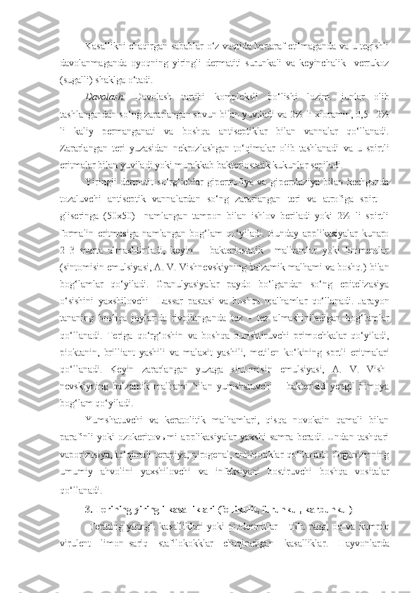 Kasallikni chaqirgan sabablar o‘z vaqtida bartaraf etilmaganda va u tegishli
davolanmaganda   oyoqning   yiringli   dermatiti   surunkali   va   keyinchalik     verrukoz
(sugalli) shaklga o‘tadi.
Davolash.   Davolash   tartibi   kompleksli   bo‘lishi   lozim.   junlar   olib
tashlangandan so‘ng zararlangan sovun bilan yuviladi va   2 % li xloramin, 0,5– 2%
li   kaliy   permanganati   va   boshqa   antiseptiklar   bilan   vannalar   qo‘llanadi.
Zararlangan   teri   yuzasidan   nekrozlashgan   to‘qimalar   olib   tashlanadi   va   u   spirtli
eritmalar bilan yuviladi yoki murakkab bakteriostatik kukunlar sepiladi.
Yiringli   dermatit   so‘rg‘ichlar   gipertrofiya   va   gi perplaziya   bilan   kechganda
tozaluvchi   antiseptik   vannalardan   so‘ng   zararlangan   teri   va   atrofiga   spirt   –
gliseringa   (50x50)     namlangan   tampon   bilan   ishlov   beriladi   yoki   2%   li   spirtli
formalin   eritmasiga   namlangan   bog‘lam   qo‘yiladi.   Bunday   applikasiyalar   kunaro
2–3   marta   almashtiriladi,   keyin       bakteriostatik     malhamlar   yoki   linimentlar
(sintomisin emulsiyasi, A. V. Vish nevskiyning balzamik malhami va boshq.) bilan
bog‘lamlar   qo‘yiladi.   Granulyasiyalar   paydo   bo‘lgandan   so‘ng   epitelizasiya
o‘sishini   yaxshilovchi     Lassar   pastasi   va   boshqa   malhamlar   qo‘llanadi.   Jarayon
tananing   boshqa   joylarida   rivojlanganda   tez   –   tez   almashiniladigan   bog‘lamlar
qo‘llanadi.   Teriga   qo‘rg‘oshin   va   boshqa   burishtiruvchi   primochkalar   qo‘yiladi,
pioktanin,   brilliant   yashili   va   malaxit   yashili,   metilen   ko‘kining   sprtli   eritmalari
qo‘llanadi.   Keyin   zararlangan   yuzaga   sintomisin   emulsiyasi,   A.   V.   Vish -
nevskiyning   balzamik   malhami   bilan   yumshatuvchi   –   bakterisid   yengil   himoya
bog‘lam qo‘yiladi.
Yumshatuvchi   va   keratolitik   malhamlari,   qisqa   novokain   qamali   bilan
parafinli   yoki   ozokeritovыmi   applikasiyalar   yaxshi   samra   beradi.   Undan   tashqari
vaporizasiya, to‘qimali terapiya, pirogenal, antibiotiklar qo‘llanadi. Organizmning
umumiy   ahvolini   yaxshilovchi   va   infeksiyani   bostiruvchi   boshqa   vositalar
qo‘llanadi.  
3.  Terining yiringli kasalliklari (follikulit, furunkul, karbunkul)
  Terining   yiringli   kasalliklari   yoki   piodermit lar   –   tilla   rang,   oq   va   kamroq
virulent   limon– sariq   stafilokokk lar   chaqiradigan   kasalliklar .   Hayvonlarda 