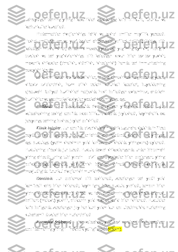 uchraydigan   t erining   yiringli   kasalliklari   orasida   eng   ko’p   follikulit,   furunkul   va
karbunkul lar kuzatiladi .
Piodermatitlar   rivojlanishiga   ichki   va   tashqi   omillar   moyillik   yaratadi.
Tashqi   omillarga   ter   va   yog’   bezlari   chiqaruvchi   yo’llari   tiqilib   qolishiga   olib
keladigan   ifloslanishlar;   epidermis   maserasiyasi;   teri   yog’ining   aynishi;   noto’g’ri
tozalash   va   teri   yog’sizlanishiga   olib   keladigan   sovun   bilan   tez–tez   yuvish;
mexanik   shikastlar   (tirnalish,   sidirilish,   ishqalanish)   hamda   teri   immunitetining
pasayishi kiradi.
Ichki   omillardan   trofik   buzilishlar,   modda   almashinuvining   patologiyalari,
sifatsiz   oziqlantirish,   hazm   qilish   traktin   surunkali   katarlari,   buyraklarning
ajratuvchi   faoliyati   buzilishlari   natijasida   hosil   bo’ladigan   avitaminoz,   endokrin
buzilishlar va autointoksika siyalar yetakchi ahamiyatga ega. 
Follikulit   –   jun   tolasi   atrofida   rivojlanayotgan   yiringxona .   Dastlab   u   jun
xaltachasining   teshigi   atrofida   osteo follikulit   sifatida   joylashadi,   keyinchalik   esa
jarayonga terining boshqa joylari qo’shiladi.
Klinik belgilar.  Jun atrofida qizarish keyin kichik tuguncha shaklida infiltrat
paydo bo’ladi. Tuguncha 3–5 kunlar  ichida kam  miqdorda sarg’ish – oq yiringga
ega   pustulaga   (yarim   sharsimon   yoki   konussimon   shaklda   yiringxona)   aylanadi.
Pustulaning o’rtasida jun turadi. Pustula devori  shikastlanganda  undan bir  tomchi
yiring   chiqadi;   uning   tubi   yorqin   –   qizil   granulyasiyalar   bilan   qoplangan;   yiring
po’stloqchaga   aylanadi,   yallig’lanish   belgilari   so’nadi.   Viru lent   stafilokokk
mavjudligida furunkul rivojlanishi mumkin.
Davolash.   Jun   qoplamasi   olib   tashlanadi,   zararlangan   teri   yodli   yoki
kamforali   spirt   bilan   ishlanadi;   keyin   igna   bilan   pustula   yoriladi,   tampon   bilan
yiring   shimib   (surtmasdan)   olinadi   va   ichi   formalinning   2%   li   spirtli   eritmasi,
brilliant  (malaxit) yashili, pioktanin yoki metilen ko’ki  bilan ishlanadi. Pustulalar
ko’p   bo’lganda   zararlangan   joy   har   kuni   yokm   kun   aro   ultrabinafsha   nurlarining
suberitemli dozalari bilan nurlantiriladi
Furunkul   (chipqon)   –     jun   xaltachasi,   yog’   bezi   va   ularni   o’rab   turadigan
atrof dermaning yiringli – nekrotik yallig’lanishi  (–rasm). 