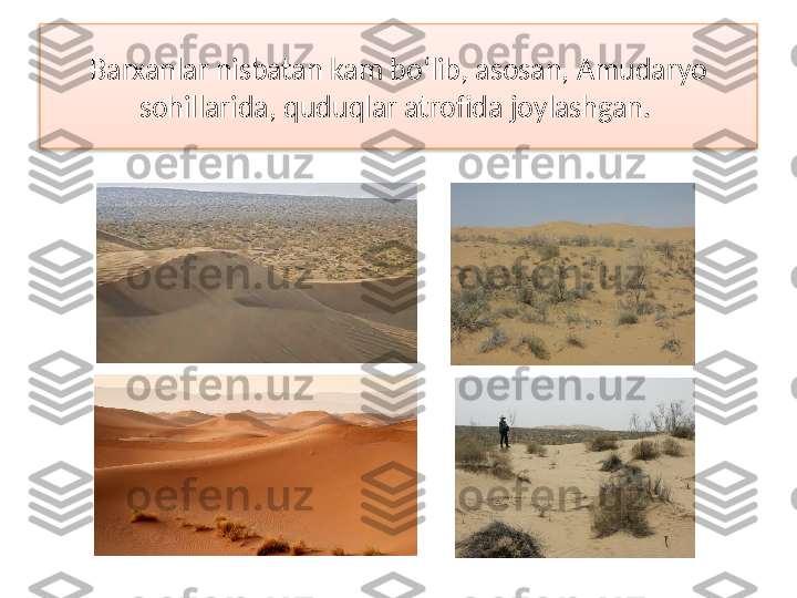 Barxanlar nisbatan kam bo‘lib, asosan, Amudaryo 
sohillarida,  quduqlar atrofida joylashgan.   