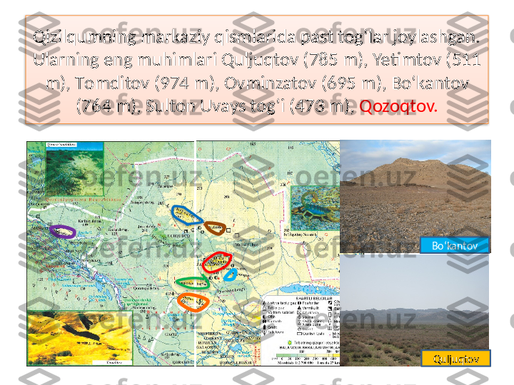 Qizilqumning markaziy qismlarida past tog‘lar joylashgan. 
Ularning eng muhimlari Quljuqtov (785 m), Yetimtov (511 
m),  Т omditov (974 m), Ovminzatov (695 m), Bo‘kantov 
(764 m), Sulton Uvays tog‘i (473 m),  Qozoqtov.
Bo‘kantov
Quljuqtov     