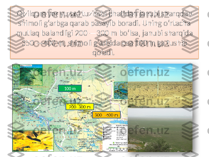 Qizilqum yer yuzasi tuzilishi jihatidan janubi sharqdan
shimoli g‘arbga qarab pasayib boradi. Uning o‘rtacha 
mutlaq  balandligi 200 —300 m bo‘lsa, janubi sharqida 
350 —400 m,  shimoli g‘arbida esa 100 m ga tushib 
qoladi. 
100 m
200- 300 m
300 – 400 m    