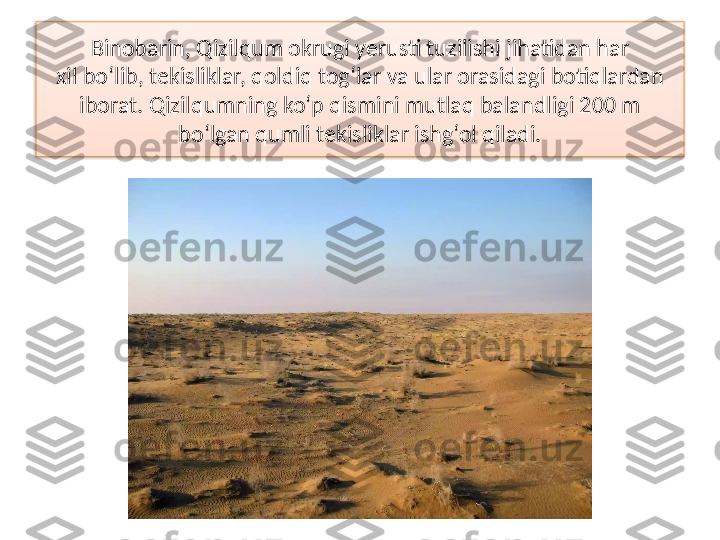 Binobarin, Qizilqum okrugi yerusti tuzilishi jihatidan har
xil bo‘lib, tekisliklar, qoldiq tog‘lar va ular orasidagi botiqlardan 
iborat. Qizilqumning ko‘p qismini mutlaq balandligi 200 m 
bo‘lgan qumli tekisliklar ishg‘ol qiladi.  