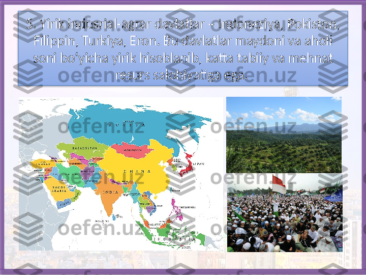 5. Yirik indusrial-agrar davlatlar – Indoneziya, Pokiston, 
Filippin, Tur kiya, Eron. Bu davlatlar maydoni va aholi 
soni bo‘yicha yirik hisoblanib, katta tabiiy va mehnat 
resurs salohiyatiga ega.    