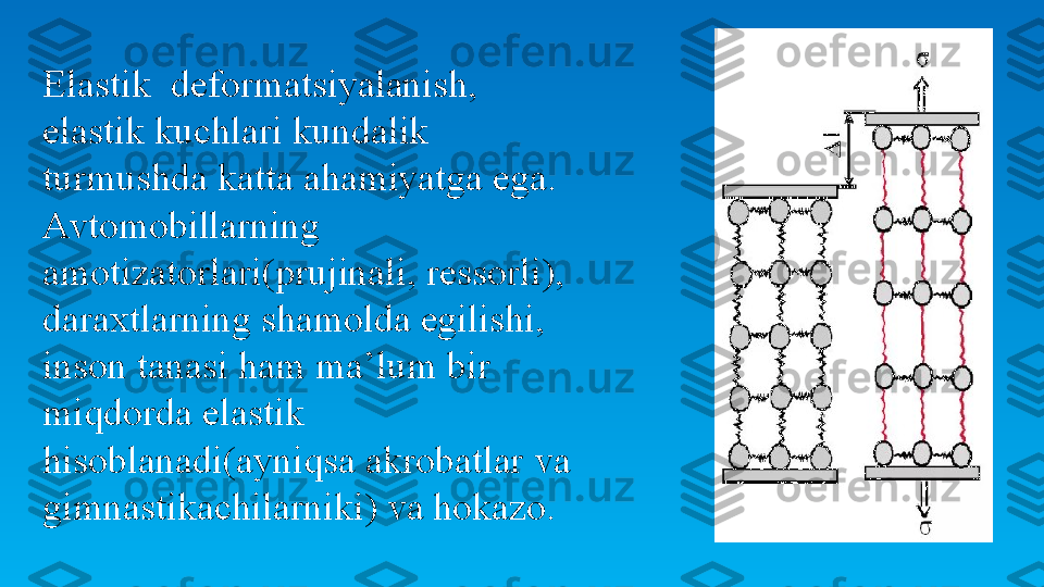   Elastik  deformatsiyalanish, 
elastik kuchlari kundalik 
turmushda katta ahamiyatga ega. 
Avtomobillarning 
amotizatorlari(prujinali, ressorli), 
daraxtlarning shamolda egilishi, 
inson tanasi ham ma’lum bir 
miqdorda elastik 
hisoblanadi(ayniqsa akrobatlar va 
gimnastikachilarniki) va hokazo.   