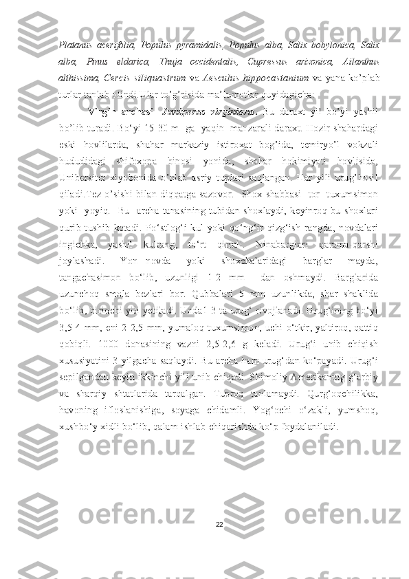 Platanus   acerifolia,   Populus   pyramidalis ,   Populus   alba,   Salix   bobylonica,   Salix
alba,   Pinus   eldarica ,   Thuja   occidentalis ,   Cupressus   arizonica,   Ailanthus
althissima,   Cercis   siliquastrum   va   Aesculus   hippocastanium   va   yana   ko’plab
turlar tanlab olindi.Ular to’g’risida ma’lumotlar quyidagicha:
Virgin   archasi-   Juniperus   virginiana .   Bu   daraxt   yil   bo’yi   yashil
bo’lib  turadi.  Bo‘yi   15-30  m    ga    yaqin    manzarali  daraxt.  Hozir  shahardagi
eski   hovlilarda,   shahar   markaziy   istiroxat   bog’ida,   temiryo’l   vokzali
hududidagi   shifoxona   binosi   yonida,   shahar   hokimiyati   hovlisida,
Unibersitet   xiyobonida   o’nlab   asriy   tuplari   saqlangan.   Har   yili   urug’hosil
qiladi.Tez   o’sishi   bilan   diqqatga   sazovor.     Shox-shabbasi     tor     tuxumsimon
yoki     yoyiq.     Bu     archa   tanasining   tubidan   shoxlaydi,   keyinroq   bu   shoxlari
qurib   tushib   ketadi.   Po‘stlog‘i   kul   yoki   qo‘ng‘ir-qizg‘ish   rangda,   novdalari
ingichka,   yashil   kulrang,   to‘rt   qirrali.   Ninabarglari   qarama-qarshi
joylashadi.     Yon   novda     yoki     shoxchalaridagi     barglar     mayda,
tangachasimon   bo‘lib,   uzunligi   1-2   mm     dan   oshmaydi.   Barglarida
uzunchoq   smola   bezlari   bor.   Qubbalari   5   mm   uzunlikda,   shar   shaklida
bo‘lib,  birinchi   yili  yetiladi.  Unda1-3  ta  urug‘   rivojlanadi.  Urug‘ining  bo‘yi
3,5-4   mm,   eni   2-2,5   mm,   yumaloq   tuxumsimon,   uchi   o‘tkir,   yaltiroq,   qattiq
qobiqli.   1000   donasining   vazni   2,5-2,6   g   keladi.   Urug‘i   unib   chiqish
xususiyatini   3   yilgacha   saqlaydi.   Bu   archa   ham   urug‘dan   ko‘payadi.   Urug‘i
sepilgandan keyin ikkinchi yili  unib chiqadi. Shimoliy Amerikaning g‘arbiy
va   sharqiy   shtatlarida   tarqalgan.   Tuproq   tanlamaydi.   Qurg‘oqchilikka,
havoning   ifloslanishiga,   soyaga   chidamli.   Yog‘ochi   o‘zakli,   yumshoq,
xushbo‘y xidli bo‘lib, qalam ishlab chiqarishda ko‘p foydalaniladi.
22 