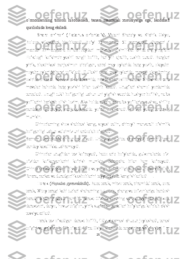 o’rmonlarining   timsoli   hisoblanadi,   tanasi   manzarali   xususiyatga   ega,   landshaft
qurilishida keng ekiladi.
Sharq   chinori   (Platanus   orientalis).   Vatani   Sharqiy   va   Kichik   Osiyo,
Bolqon   viloyatlari   hisoblanadi.   Bo’yi   25   metrdan   50   metrgacha,   diametri   4
metrdan 20 metrgacha bo’ladi. Jaydari- manzarali o’simliklar ichida eng yirigidir.
Po’stlog’i   ko’kimtir   yashil   rangli   bo’lib,   har   yili   ajralib,   tushib   turadi.   Barglari
yirik,   plastinkasi   panjasimon   qirqilgan,   aprel-may   oylarida   barg   yozib,   oktyabr-
noyabr   oylarida   bargi   to’kiladi.   Gullashi   aprel-may   oylarida,   mevasi   oktyabrning
oxirida   pishadi.   Mevasi   qish   davomida   novdalarda   osilib   turadi.   Sharsimon   to’p
mevalar   bahorda   barg   yozishi   bilan   tushib   ketadi.   Urug’lari   shamol   yordamida
tarqaladi. Urug’i tukli bo’lganligi uchun uni yig’ish vaqtida hushyor bo’lish, nafas
yo’llarini berkitib olish lozim. Aks holda tukchalar nafas yo’llariga tushsa, shilliq
pardasini   qitiqlaydi,   natijada   kishida   yo’tal   boshlanadi.   Ko’zni   yallig’lantirishi
mumkin.
Chinorlarning   shox-shabbasi   keng,   soyasi   qalin,   chiroyli   manzarali   o’simlik
bo’lganligi uchun xalqimiz uni ardoqlab o’stiradi. 
Sernam   tuproqlarda   chinor   tez   o’sadi.   Uning   yana   bitta   ahamiyatli   tomoni,   hech
qanday kasallikka uchramaydi .
Chinorlar   urug’idan   tez   ko’payadi,   hatto   ariq   bo’ylarida,   gulxonalarda   o’z-
o’zidan   ko’karganlarini   ko’rish   mumkin,   qalamcha   bilan   ham   ko’payadi.
Chinorlarning yog’ochi jilvali, qattiq va yengil bo’lganligi sababli undan mebellar,
fanera, parket va duradgorlik asboblarini tayyorlashda keng ishlatiladi [  ].  
Terak ( Populus pyramidalis ).  Baqa terak, mirzo terak, piramidal terak, qora
terak, Xitoy teragi kabi turlari shaharning tutun, is, chang va to’zonlariga bardosh
beradi.   Shuning   uchun   ham   bu   daraxt   O’zbekistonning   sanoat   rayonlariga,   ixota
daraxtzori, daryo, hovuz to’g’on, yirik sug’orish kanallari bo’ylariga ko’plab ekish
tavsiya etiladi.
Terak   tez   o’sadigan   daraxt   bo’lib,   ildiz   sistemasi   chuqur   joylashadi,   tanasi
to’g’ri va yo’g’on bo’lib o’sadi. O’rta Osiyo sharoitida tanasining yo’g’onligi 1 m
25 