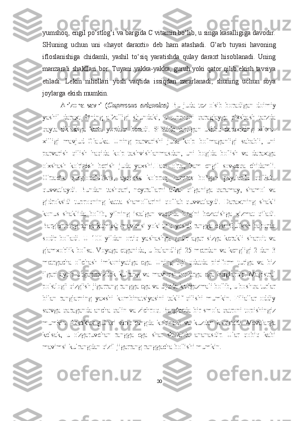 yumshoq, engil po‘stlog‘i va bargida C vitamin bo‘lib, u singa kasalligiga davodir.
SHuning   uchun   uni   «hayot   daraxti»   deb   ham   atashadi.   G‘arb   tuyasi   havoning
ifloslanishiga   chidamli,   yashil   to‘siq   yaratishda   qulay   daraxt   hisoblanadi.   Uning
manzarali shakllari bor. Tuyani yakka-yakka, guruh yoki qator qilib ekish tavsiya
etiladi.   Lekin   nihollari   yosh   vaqtida   issiqdan   zararlanadi,   shuning   uchun   soya
joylarga ekish mumkin.
Arizona   savri   ( Cupressus   arizonica)   Bu   juda   tez   o'sib   boradigan   doimiy
yashil   daraxt.   Uning   afzalligi   shundaki,   u   tuproqni   qarag'ayga   o'xshash   tarzda
qayta   tiklashga   katta   yordam   beradi.   Sifatida   tanilgan   ushbu   daraxtning   xilma-
xilligi   mavjud   Glauka.   Uning   parvarishi   juda   ko'p   bo'lmaganligi   sababli,   uni
parvarish   qilish   haqida   ko'p   tashvishlanmasdan,   uni   bog'da   bo'lish   va   daraxtga
o'xshash   ko'rinish   berish   juda   yaxshi.Ham   o'rta,   ham   engil   sovuqqa   chidamli.
O'rtacha   qurg'oqchilikni,   ayniqsa   ko'proq   harorat   bo'lgan   paytlarda   qo'llab-
quvvatlaydi.   Bundan   tashqari,   neytrallarni   afzal   qilganiga   qaramay,   shamol   va
gidroksidi   tuproqning   katta   shamollarini   qo'llab-quvvatlaydi.   Daraxtning   shakli
konus   shaklida   bo'lib,   yilning   istalgan   vaqtida   bog'ni   bezatishga   xizmat   qiladi.
Barglarining rangi kumush-mavimsi yoki to'q yashil rangga ega. Gullash bahorda
sodir   bo'ladi.   U   100   yildan   ortiq   yashashga   qodir   agar   sizga   kerakli   sharoit   va
g'amxo'rlik bo'lsa.  Voyaga etganida, u balandligi  25 metrdan va kengligi  2 dan 3
metrgacha   o'lchash   imkoniyatiga   ega.   Uning   toji   odatda   piriform   turiga   va   biz
ilgari   aytib   o'tganimizdek   kulrang   va   mavimsi   tonlarga   ega   barglardir.   Magistral
po'stlog'i qizg'ish jigarrang rangga ega va u juda ko'rgazmali bo'lib, u boshqa turlar
bilan   ranglarning   yaxshi   kombinatsiyasini   taklif   qilishi   mumkin.   Filiallar   oddiy
sarvga qaraganda ancha qalin va zichroq. Barglarda bir  smola qatroni topishingiz
mumkin.   Erkaklar   gullari   sariq   rangda   ko'rinadi   va   kuzdan   ko'rinadi.   Mevalarga
kelsak,   u   o'zgaruvchan   rangga   ega   shar   shaklida   ananasdir.   Ular   qobiq   kabi
mavimsi-kulrangdan qizil-jigarrang ranggacha bo'lishi mumkin.
30 