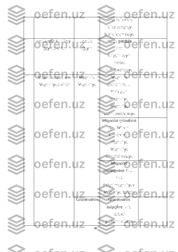 Pinus pallasiana
Pallas qarag`ayi
Sosna kr ы mskaya
10
Betulaceae S.F.Gray.
Qayindoshlar Betula
Qayin Betula  pendula
Ehrh.
So`galli qayin
Berëza
borodavchataya
11
Magnoliaceae Juss.
Magnoliyadoshlar Magnolia
Magnoliya Magnolia
grandiflora L.
Yirik gulli
magnoliya
Magnoliya
krupnotsvetkovaya
Magnolia cylindrica
E.H. Wilson.
Silindrsimon
magnoliya
Magnoliya
silindricheskaya
Magnolia
soulangeana  Soul.-
Bod.
Sulanj magnoliyasi
Magnoliya Sulanja
Liriodendron Liriodendron
tulipifera  Lola
daraxti
Tyulpannoe   derevo
40 