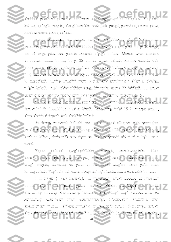 shabbasi   yaxshilab   parvarish   berilmasa   tanasi   egri-bugri   bo’lib   qoladi.   Yog’ochi
kul tus, qo’ng’ir rangda, o’zagi binafsha tusda juda yengil, yumshoq, ammo quruq
holatida ancha pishiq bo’ladi. 
Bunge   katalpasi.   Bu   daraxt   ham   shox-shabbasini   g’uj   o’sishi   bilan
parklardagi manzarali daraxtlardan biri hisoblanadi. Yaprog’i yirik, bo’yi 20 smga,
eni   16   smga   yetdi   ikki   yonida   tishchali   o’yig’i   bo’ladi.   Mevasi   uzun   silindrik
qo’zoqdan   iborat   bo’lib,   bo’yi   25   sm   va   undan   oshadi,   xomlik   vaqtida   sirti
yopishqoq shira bilan qoplangan bo’ladi. Katalpaning bu turi shaharning manzarali
bog’larida   va   parklarida   kam   uchraydi.   Katalpa   daraxti   urug’ini   ekish   yo’li   bilan
ko’paytiriladi.   Buning   urug’ini   mart   oxirida   yoki   aprelning   boshlarida   ekishga
to’g’ri keladi. Urug’i ekish oldidan suvga bir necha vaqt solib ivitiladi. Bu daraxt
qalamchalash va ildiz bachkilarini ekish yo’li bilan ham ko’paytiriladi [5].
Yapon   soforasi   (sophora   japonica).   Bu   o’simlik   juda   yaxshi   manzarali
daraxt   bo’lib   dukkaklilar   oilasiga   kiradi.   Daraxtning   bo’yi   15-20   metrga   yetadi,
shox-shabbasi deyarli sada shaklida bo’ladi. 
Bu   daraxt   manzarali   bo’lishi,   tez     o’sishi   tanasi   silliq   va   tekis,   yaproqlari
patsimon joylanishi, sarg’ish gullarining to’da-to’da bo’lib joylanishi, yaprog’ining
kech   to’kilishi,   dorivorlik   xususiyati   va   boshqa   yaxshi   xislatlari   tufayli   ustun
turadi.
Yapon   soforasi   qurg’oqchilikka   chidaydi,   zararkunandalar   bilan
shikastlanmaydi.   Iyun-iyulda   gullaydi,   mevasi   cho’tkasimon   dukkakdan   iborat,
urug’i   mayda,   dumaloq   va   yaltiroq,   bu   daraxt   urug’ini   ekish   yo’li   bilan
ko’paytiriladi. Yog’ochi och sariq, o’zagi qo’ng’ir tusda, qattiq va elastik bo’ladi. 
Gledichiya   (Tikan   daraxti).   Bu   manzarali   daraxt   dukkaklilar   oilasidan
bo’lib,   bo’yi   20-30   metrga   yetadi.   Bu   tez   o’sishi,   qurg’oqchilikka   hamda
shaharning   noqulay   sharoitlariga   bardosh   berishi   bog’   bog’   zararkunanda   va
zamburug’   kasalliklari   bilan   kasallanmasligi,   O’zbekiston   sharoitida   qish
sovuqlaridan   mutlaqo   shikastlanmasligi   bilan   ajralib   turadi.   Gledichiya   daraxti
shox-shabbasi,   nafis   barglari   tufayli   juda   ko’rinishlidir.   Yaprog’i   to’q   yashil,
44 