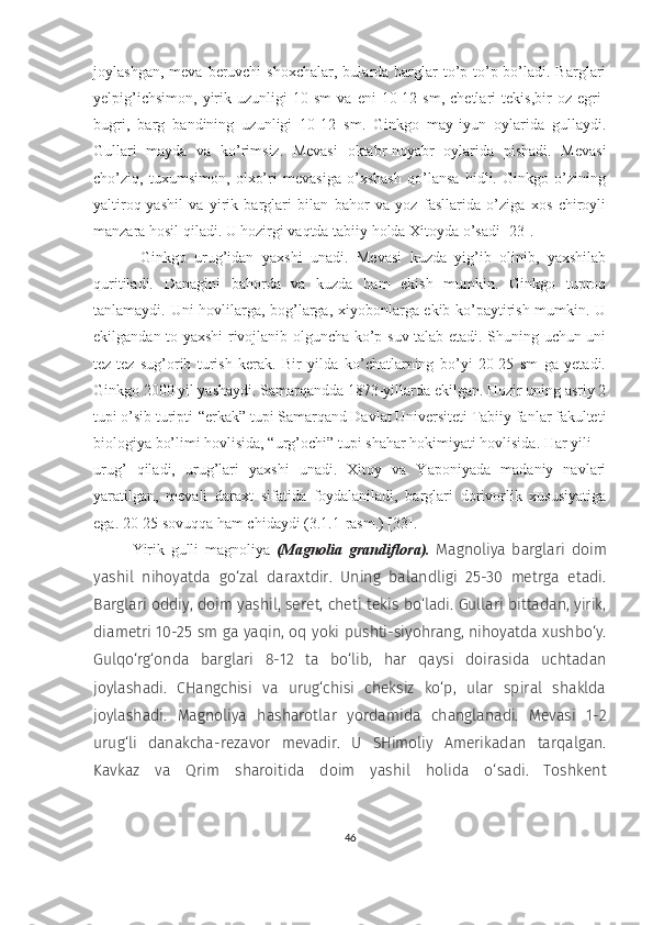 joylashgan,  meva  beruvchi  shoxchalar,  bularda barglar  to’p-to’p bo’ladi. Barglari
yelpig’ichsimon,   yirik  uzunligi   10  sm   va   eni   10-12  sm,   chetlari   tekis,bir   oz   egri-
bugri,   barg   bandining   uzunligi   10-12   sm.   Ginkgo   may-iyun   oylarida   gullaydi.
Gullari   mayda   va   ko’rimsiz.   Mevasi   oktabr-noyabr   oylarida   pishadi.   Mevasi
cho’ziq,   tuxumsimon,   olxo’ri   mevasiga   o’xshash   qo’lansa   hidli.   Ginkgo   o’zining
yaltiroq-yashil   va   yirik   barglari   bilan   bahor   va   yoz   fasllarida   o’ziga   xos   chiroyli
manzara hosil qiladi. U hozirgi vaqtda tabiiy holda Xitoyda o’sadi [23]. 
Ginkgo   urug’idan   yaxshi   unadi.   Mevasi   kuzda   yig’ib   olinib,   yaxshilab
quritiladi.   Danagini   bahorda   va   kuzda   ham   ekish   mumkin.   Ginkgo   tuproq
tanlamaydi. Uni hovlilarga, bog’larga, xiyobonlarga ekib ko’paytirish mumkin. U
ekilgandan to yaxshi rivojlanib olguncha ko’p suv talab etadi. Shuning uchun uni
tez-tez   sug’orib   turish   kerak.   Bir   yilda   ko’chatlarning   bo’yi   20-25   sm   ga   yetadi.
Ginkgo 2000 yil yashaydi. Samarqandda 1873-yillarda ekilgan. Hozir uning asriy 2
tupi o’sib turipti-“erkak” tupi Samarqand Davlat Universiteti Tabiiy fanlar fakulteti
biologiya bo’limi hovlisida, “urg’ochi” tupi shahar hokimiyati hovlisida. Har yili 
urug’   qiladi,   urug’lari   yaxshi   unadi.   Xitoy   va   Yaponiyada   madaniy   navlari
yaratilgan,   mevali   daraxt   sifatida   foydalaniladi,   barglari   dorivorlik   xususiyatiga
ega. 20-25 sovuqqa ham chidaydi (3.1.1-rasm.) [33].
Yirik   gulli   magnoliya   (Magnolia   grandiflora).   Magnoliya   barglari   doim
yashil   nihoyatda   go‘zal   daraxtdir.   Uning   balandligi   25-30   metrga   etadi.
Barglari oddiy, doim yashil, seret, cheti tekis bo‘ladi. Gullari bittadan, yirik,
diametri 10-25 sm ga yaqin, oq yoki pushti-siyohrang, nihoyatda xushbo‘y.
Gulqo‘rg‘onda   barglari   8-12   ta   bo‘lib,   har   qaysi   doirasida   uchtadan
joylashadi.   CHangchisi   va   urug‘chisi   cheksiz   ko‘p,   ular   spiral   shaklda
joylashadi.   Magnoliya   hasharotlar   yordamida   changlanadi.   Mevasi   1-2
urug‘li   danakcha-rezavor   mevadir.   U   SHimoliy   Amerikadan   tarqalgan.
Kavkaz   va   Qrim   sharoitida   doim   yashil   holida   o‘sadi.   Toshkent
46 