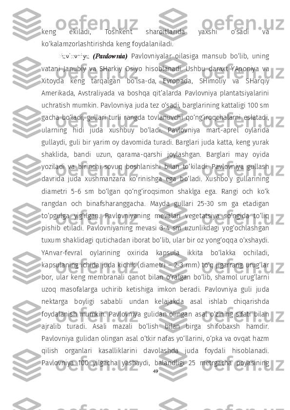 keng   ekiladi,   Toshkent   sharoitlarida   yaxshi   o‘sadi   va
ko‘kalamzorlashtirishda keng foydalaniladi.
Pavlovniya   (Paulownia)   Pavlovniyalar   oilasiga   mansub   bo‘lib,   uning
vatani   Janubiy   va   SHarkiy   Osiyo   hisoblanadi.   Ushbu   daraxt   YAponiya   va
Xitoyda   keng   tarqalgan   bo‘lsa-da,   Evropada,   SHimoliy   va   SHarqiy
Amerikada,   Avstraliyada   va   boshqa   qit’alarda   Pavlovniya   plantatsiyalarini
uchratish mumkin. Pavlovniya juda tez o‘sadi, barglarining kattaligi 100 sm
gacha  bo‘ladi,  gullari  turli  rangda   tovlanuvchi  qo‘ng‘iroqchalarni  eslatadi,
ularning   hidi   juda   xushbuy   bo‘ladi.   Pavlovniya   mart-aprel   oylarida
gullaydi, guli bir yarim oy davomida turadi. Barglari juda katta, keng yurak
shaklida,   bandi   uzun,   qarama-qarshi   joylashgan.   Barglari   may   oyida
yoziladi   va   birinchi   sovuq   boshlanishi   bilan   to‘kiladi.   Pavlovniya   gullash
davrida   juda   xushmanzara   ko‘rinishga   ega   bo‘ladi.   Xushbo‘y   gullarining
diametri   5-6   sm   bo‘lgan   qo‘ng‘iroqsimon   shaklga   ega.   Rangi   och   ko‘k
rangdan   och   binafsharanggacha.   Mayda   gullari   25-30   sm   ga   etadigan
to‘pgulga   yig‘ilgan.   Pavlovniyaning   mevalari   vegetatsiya   so‘ngida   to‘liq
pishib   etiladi.   Pavlovniyaning   mevasi   3-4   sm   uzunlikdagi   yog‘ochlashgan
tuxum shaklidagi qutichadan iborat bo‘lib, ular bir oz yong‘oqqa o‘xshaydi.
YAnvar-fevral   oylarining   oxirida   kapsula   ikkita   bo‘lakka   ochiladi,
kapsulaning ichida juda kichik (diametri – 2-3 mm) to‘q jigarrang urug‘lar
bor,   ular   keng   membranali   qanot   bilan   o‘ralgan   bo‘lib,   shamol   urug‘larni
uzoq   masofalarga   uchirib   ketishiga   imkon   beradi.   Pavlovniya   guli   juda
nektarga   boyligi   sababli   undan   kelajakda   asal   ishlab   chiqarishda
foydalanish   mumkin.   Pavlovniya   gulidan   olingan   asal   o‘zining   sifati   bilan
ajralib   turadi.   Asali   mazali   bo‘lish   bilan   birga   shifobaxsh   hamdir.
Pavlovniya gulidan olingan asal o‘tkir nafas yo‘llarini, o‘pka va ovqat hazm
qilish   organlari   kasalliklarini   davolashda   juda   foydali   hisoblanadi.
Pavlovniya   100   yilgacha   yashaydi,   balandligi   25   metrgacha   poyasining
49 