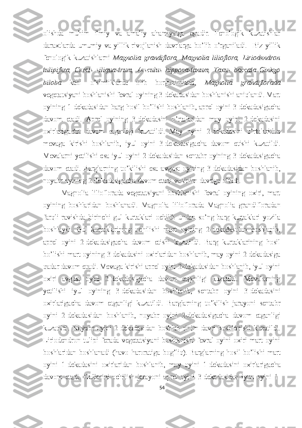 olishda   muhim   ilmiy   va   amaliy   ahamiyatga   egadir.   Fenologik   kuzatishlar
daraxtlarda   umumiy   va   yillik   rivojlanish   davrlarga   bo’lib   o’rganiladi.     Biz   yillik
fenologik   kuzatishlarni   Magnolia   grandiflora,   Magnolia   lilioflora,   Liriodendron
tulipifera,   Cercis   siliquastrum,   Aesculus   hippocastanum,   Taxus   baccata   Ginkgo
biloba   kabi   o’simliklarda   olib   borganimizda,   Magnolia   grandiflorada
vegetatsiyani boshlanishi fevral oyining 3-dekadasidan boshlanishi aniqlandi. Mart
oyining   1-dekadasidan   barg   hosil   bo’lishi   boshlanib,   aprel   oyini   3-dekadasigacha
davom   etadi.   Aprel   oyining   3-dekadasini   o’rtalaridan   may   oyini   2-dekadasini
oxirlarigacha   davom   etganligi   kuzatildi.   May   oyini   2-dekadasini   o’rtalaridan
mevaga   kirishi   boshlanib,   iyul   oyini   3-dekadasigacha   davom   etishi   kuzatildi.
Mevalarni  yetilishi  esa  iyul  oyini  2-dekadasidan  sentabr  oyining 3-dekadasigacha
davom   etadi.   Barglarning   to’kilishi   esa   avgust   oyining   3-dekadasidan   boshlanib,
noyabr oyining 2-dekadasigacha davom etadi va tinim davriga o’tadi.
Magnolia   lilioflorada   vegetatsiyani   boshlanishi   fevral   oyining   oxiri,   mart
oyining   boshlaridan   boshlanadi.   Magnolia   lilioflorada   Magnolia   grandifloradan
farqli   ravishda   birinchi   gul   kurtaklari   ochilib   undan   so’ng   barg   kurtaklari   yozila
boshlaydi.   Gul   kurtaklarining   ochilishi   mart   oyining   2-dekadasidan   boshlanib,
aprel   oyini   2-dekadasigacha   davom   etishi   kuzatildi.   Barg   kurtaklarining   hosil
bo’lishi  mart oyining 3-dekadasini  oxirlaridan boshlanib, may oyini 2-dekadasiga
qadar davom etadi. Mevaga kirishi aprel oyini 2-dekadasidan boshlanib, iyul oyini
oxiri   avgust   oyini   2-dekadasigacha   davom   etganligi   kuzatildi.   Mevalarning
yetilishi   iyul   oyining   3-dekadasidan   boshlanib,   sentabr   oyini   3-dekadasini
oxirlarigacha   davom   etganligi   kuzatildi.   Barglarning   to’kilish   jarayoni   sentabr
oyini   2-dekadasidan   boshlanib,   noyabr   oyini   2-dekadasigacha   davom   etganligi
kuzatildi.   Noyabr   oyini   2-dekadasidan   boshlab   tinim   davri   boshlanishi   kuzatildi.
Liriodendron   tulipi   ferada   vegetatsiyani   boshlanishi   fevral   oyini   oxiri   mart   oyini
boshlaridan   boshlanadi   (havo   haroratiga   bog’liq).   Barglarning   hosil   bo’lishi   mart
oyini   1-dekadasini   oxirlaridan   boshlanib,   may   oyini   1-dekadasini   oxirlarigacha
davom   etadi.   Gullarini   ochilish   jarayoni   aprel   oyini   3-dekadasidan   iyun   oyini   1-
54 