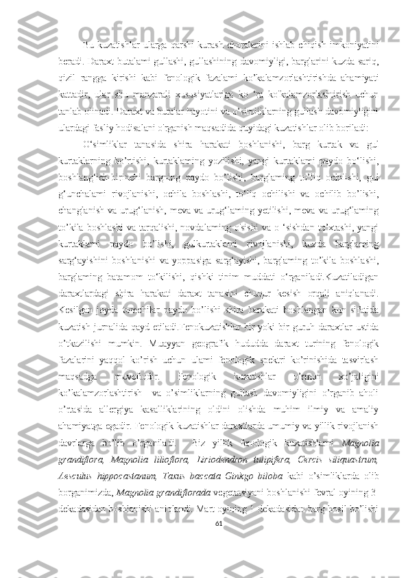 Bu   kuzatishlar   ularga   qarshi   kurash   choralarini   ishlab   chiqish   imkoniyatini
beradi. Daraxt-butalami gullashi, gullashining davomiyligi, barglarini kuzda sariq,
qizil   rangga   kirishi   kabi   fenologik   fazalami   ko’kalamzorlashtirishda   ahamiyati
kattadir,   ular   shu   manzarali   xususiyatlariga   ko   ‘ra   ko'kalamzorlashtirish   uchun
tanlab olinadi. Daraxt va butalar hayotini va o’simliklarning gullash davomiyligini
ulardagi fasliy hodisalani o'rganish maqsadida quyidagi kuzatishlar olib boriladi:
O‘simliklar   tanasida   shira   harakati   boshlanishi,   barg   kurtak   va   gul
kurtaklarning   bo’rtishi,   kurtaklaming   yozilishi,   yangi   kurtaklami   paydo   bo‘lishi,
boshlang‘ich-birinchi   bargning   paydo   bo’lishi,   barglaming   to’liq   ochilishi,   gul
g‘unchalami   rivojlanishi,   ochila   boshlashi,   to‘liq   ochilishi   va   ochilib   bo’lishi,
changlanish   va   urug‘lanish,   meva   va   urug‘laming   yetilishi,   meva   va   urug‘laming
to’kila   boshlashi   va   tarqalishi,   novdalaming  o'sishi   va  o   ‘sishdan   to’xtashi,   yangi
kurtaklami   paydo   bo’lishi,   gulkurtaklami   rivojlanishi,   kuzda   barglaming
sarg‘ayishini   boshlanishi   va   yoppasiga   sarg‘ayishi,   barglaming   to’kila   boshlashi,
barglaming   batamom   to‘kilishi,   qishki   tinim   muddati   o‘rganiladi.Kuzatiladigan
daraxtlardagi   shira   harakati   daraxt   tanasini   chuqur   kesish   orqali   aniqlanadi.
Kesilgan   joyda   tomchilar   paydo   bo’lishi   shira   harakati   boshlangan   kun   sifatida
kuzatish jurnalida qayd etiladi.Fenokuzatishlar  bir  yoki  bir  guruh daraxtlar  ustida
o’tkazilishi   mumkin.   Muayyan   geografik   hududda   daraxt   turining   fenologik
fazalarini   yaqqol   ko’rish   uchun   ulami   fenologik   spektri   ko’rinishida   tasvirlash
maqsadga   muvofiqdir.   Fenologik   kuzatishlar   o’rmon   xo’jaligini
ko’kalamzorlashtirish     va   o’simliklarning   gullash   davomiyligini   o’rganib   aholi
o’rtasida   allergiya   kasalliklarining   oldini   olishda   muhim   ilmiy   va   amaliy
ahamiyatga egadir. Fenologik kuzatishlar daraxtlarda umumiy va yillik rivojlanish
davrlarga   bo’lib   o’rganiladi.     Biz   yillik   fenologik   kuzatishlarni   Magnolia
grandiflora,   Magnolia   lilioflora,   Liriodendron   tulipifera,   Cercis   siliquastrum,
Aesculus   hippocastanum,   Taxus   baccata   Ginkgo   biloba   kabi   o’simliklarda   olib
borganimizda,   Magnolia grandiflorada   vegetatsiyani boshlanishi fevral oyining 3-
dekadasidan boshlanishi aniqlandi. Mart oyining 1-dekadasidan barg hosil bo’lishi
61 