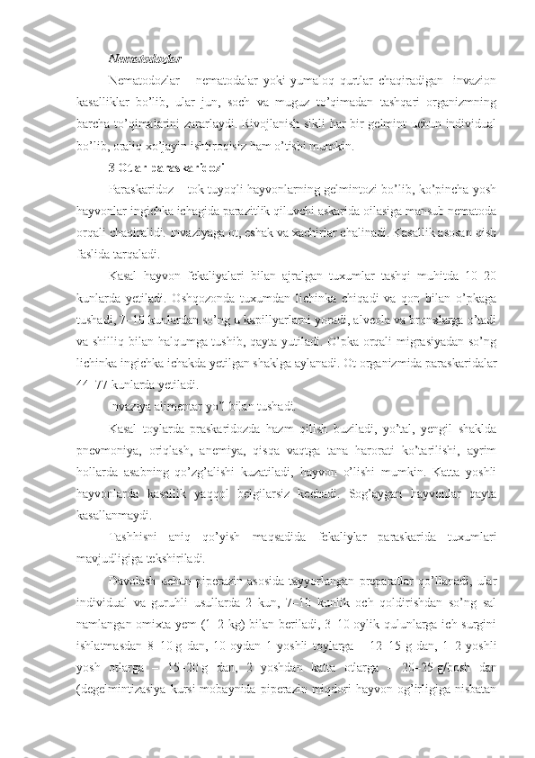 Nematodozlar
Nematodozlar   –   nematodalar   yoki   yumaloq   qurtlar   chaqiradigan     invazion
kasalliklar   bo’lib,   ular   jun,   soch   va   muguz   to’qimadan   tashqari   organizmning
barcha to’qimalarini zararlaydi. Rivojlanish sikli har bir gelmint uchun individual
bo’lib, oraliq xo’jayin ishtiroqisiz ham o’tishi mumkin. 
3 Otlar paraskaridozi
Paraskaridoz – tok tuyoqli hayvonlarning gelmintozi bo’lib, ko’pincha yosh
hayvonlar ingichka ichagida parazitlik qiluvchi askarida oilasiga mansub nematoda
orqali chaqiralidi. Invaziyaga ot, eshak va xachirlar chalinadi. Kasallik asosan qish
faslida tarqaladi.
Kasal   hayvon   fekaliyalari   bilan   ajralgan   tuxumlar   tashqi   muhitda   10–20
kunlarda   yetiladi.   Oshqozonda   tuxumdan   lichinka   chiqadi   va   qon   bilan   o’pkaga
tushadi, 7–10 kunlardan so’ng u kapillyarlarni yoradi, alveola va bronxlarga o’tadi
va shilliq bilan halqumga tushib, qayta yutiladi. O’pka orqali migrasiyadan so’ng
lichinka ingichka ichakda yetilgan shaklga aylanadi. Ot organizmida paraskaridalar
44–77 kunlarda yetiladi.
Invaziya alimentar yo’l bilan tushadi.
Kasal   toylarda   praskaridozda   hazm   qilish   buziladi,   yo’tal,   yengil   shaklda
pnevmoniya,   oriqlash,   anemiya,   qisqa   vaqtga   tana   harorati   ko’tarilishi,   ayrim
hollarda   asabning   qo’zg’alishi   kuzatiladi,   hayvon   o’lishi   mumkin.   Katta   yoshli
hayvonlarda   kasallik   yaqqol   belgilarsiz   kechadi.   Sog’aygan   hayvonlar   qayta
kasallanmaydi.
Tashhisni   aniq   qo’yish   maqsadida   fekaliylar   paraskarida   tuxumlari
mavjudligiga tekshiriladi.
Davolash   uchun   piperazin   asosida   tayyorlangan   preparatlar   qo’llanadi,   ular
individual   va   guruhli   usullarda   2   kun,   7–10   kunlik   och   qoldirishdan   so’ng   sal
namlangan omixta yem (1–2 kg) bilan beriladi, 3–10 oylik qulunlarga ich surgini
ishlatmasdan   8–10   g   dan,   10   oydan   1   yoshli   toylarga   –   12–15   g   dan,   1–2   yoshli
yosh   otlarga   –   15–20   g   dan,   2   yoshdan   katta   otlarga   –   20–25   g/bosh   dan
(degelmintizasiya   kursi  mobaynida  piperazin miqdori  hayvon  og’irligiga nisbatan 