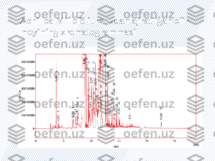 Achillea Millefolium L dan ajratilgan efir 
moyining xromatogrammasi 