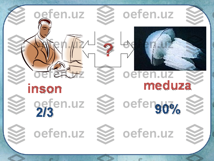 ??
meduzameduza
90%90%insoninson
2/32/3 