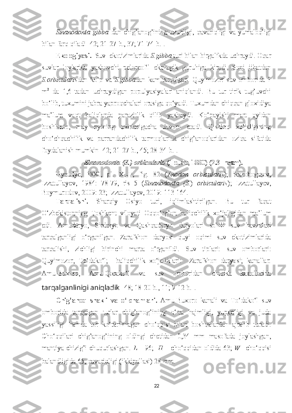 Sinanodonta   gibba   dan   chig’anog’ining   uzunligi,   qavariqligi   va   yumaloqligi
bilan farq qiladi [42; 21-27- b ., 37; 71-74- b .].
Ekologiyasi.    Suv  ekotizimlarida  S.gibba  turi bilan birgalikda uchraydi. Oqar
suvlar   loylarida   yashovchi   peloreofil   ekologik   guruhiga   kiradi.   Soni   jihatdan
S.orbicularis dan   ko‘p   va   S.gibba dan   kam   tarqalgan.   Quyimozor   suv   omborida   1
m 2
  da   1,6   tadan   uchraydigan   populyasiyalari   aniqlandi.   Bu   tur   tirik   tug’uvchi
bo‘lib, tuxumini jabra yaproqchalari orasiga qo‘yadi. Tuxumdan chiqqan gloxidiya
ma’lum   vaqt   baliqlarda   parazitlik   qilib   yashaydi.   Ko‘payishi   mart   oyidan
boshlanib,   may   oyining   oxirlarigacha   davom   etadi.   Qishloq   xo‘jaligining
cho‘chqachilik   va   parrandachilik   tarmoqlarida   chig’anoqlaridan   oziqa   sifatida
foydalanish mumkin [42; 21-27-b., 45; 28-34-b.].
Sinanodonta (S.) orbicularis  (Heude, 1880) (2.3- rasm).
Hyeudye,   1880,   pl.   XLII,   fig.   82   ( Anodon   orbicularis );   Starobogatov,
Izzatullayev,   1984:   78-79,   ris   5   ( Sinanodonta   (S. )   orbicularis );   Izzatullayev,
Boymurodov, 2009: 23; Izzatullayev, 2019: 113-164.  
Tarqalishi.   Sharqiy   Osiyo   turi,   iqlimlashtirilgan.   Bu   tur   faqat
O‘zbekistonning   Toshkent   viloyati   Oqqo‘rg’on   baliqchilik   xo‘jaligidan   ma’lum
edi.   Amudaryo,   Sirdaryo   va   Qashqadaryo   daryolari   sohili   suv   havzalari
tarqalganligi   o‘rganilgan.   Zarafshon   daryosi   quyi   oqimi   suv   ekotizimlarida
tarqalishi,   zichligi   birinchi   marta   o‘rganildi.   Suv   tiplari:   suv   omborlari:
Quyimozor,   To‘dako‘l;     baliqchilik   xo‘jaliklari:     Zarafshon   daryosi;   kanallar:
Amu-Buxoro,   Amu-Qorako‘l   va   suv   omboridan   chiqish   kanallarida
tarqalganlinigi aniqladik  [48; 18-20-b., 11; 9-12-b.]. 
Chig’ano q   shakli   va   o‘lchamlari.   Amu-Buxoro   kanali   va   To‘dako‘l   suv
omborida   tarqalgan   turlar   ch ig’anog’ining   o‘rta   hajmligi,   yupqaligi   va   juda
yassiligi   hamda   tor   ko‘tarilmagan   cho‘qqisi   bilan   boshqalardan   ajralib   turadi.
Cho‘qqilari   chig’anog’ining   oldingi   chetidan   0,34   mm   masofada   joylashgan,
mantiya chizig’i chuqurlashgan.   L   –   96;    H   –   cho‘qqidan oldida 63;   W   – cho‘qqisi
balandligida 65; qavariqligi (ikkipallasi) 28 mm.  
22 