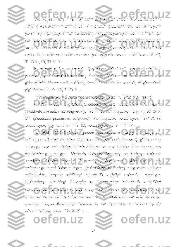 Ekologiyasi.   Daryoning   quyi   oqimidagi   suv   tiplarida   hovuzlar,   baliqchilik
xo‘jaligi va suv omborlarining 1,2-1,9 m chuqurligida, ko‘pincha 0,2-0,8 m, ya’ni
yaxshi isiydigan (quyosh nuri tushadigan) qismlarida yashaydi. Reofil. O‘rganilgan
suv   havzalarida   keng   va   ko‘p   tarqalgan,   son   jihatidan   urug’ning   ko‘p   tarqalgan
kenja   turi   hisoblanadi.   Bu   kenja   turning   ko‘payishi   va   rivojlanishi   To‘dako‘l   suv
omborida   bosqichma-bosqich   martdan   iyul   oyigacha   davom   etishi   kuzatildi   [42;
21-27-b., 45; 28-34-b.].  
Muhofaza   qilish   choralari.   Quyimozor,   Sho‘rko‘l   suv   omborlaridagi
yashash   joylarini   muhofaza   qilish,   Konimex,   Vobkent   va   boshqa   kanallarda
gidrorejimini   bir   maromda   ushlash,   ularni   ifloslanishidan   saqlash,   chig’anoqlarni
yig’ishni taqiqlash [42; 21-27-b.].
           Colletopterum (P.) ponderosum volgense  (Shadin, 1938) (2.6- rasm).
Kobelt,   1913:53.   fig.2761   ( A.samarkandensis );   Jadin,   1938:126,   fig,   43
( Anadonta piscinalis var.volgensis .); 1952:305, Starobogatov, Pirogov, 1971:242-
244   ( Anadonta   ponderosa   volgense .);   Starobogatov,   Izzatullayev,   1984:76-77;
Izzatullayev, Boymurodov, 2009: 23; Izzatullayev, 2019: 113-164.
Tarqalishi .   Colletopterum     ponderosum   volgense   Kaspiy   oldi   kenja   turi
bo‘lib, tasodifan baliqlar bilan O‘zbekistonning Kattaqo‘rg’on va Qirg’izistonning
To‘xtagul   suv   omborlariga   iqlimlashtirilgan   va   suv   baliqlar   bilan   boshqa   suv
ekotizimlariga   tarqalgan.     Markaziy   Osiyoda:   Amudaryo   va   Sirdaryo   suvlarida
tarqalgan.   Bundan   tashqari   Tuyamo‘yin,   Pachkamar,   Chimqo‘rg’on   suv
omborlariga   introduksiya   qilingan.   Qashqadaryo   va   Sirdaryoning   sekin   oqadigan
qo‘ltiqlarida,   daryolar   sohilidagi   baliqchilik   xo‘jaligi   suvlarida     tarqalgan.
Qashqadaryo   so h ilidagi   G’uzordar   va   Chimqurg’on   baliqchilik   xo‘jaliklari
suvlaridan terilgan. Zarafshon daryosi quyi  oqimi suv ekotizimlarida daryolar, suv
omborlari   va   baliqchilik   xo‘jaliklarida   1   m 2
  da   o‘rtacha   0,6-0,9   tadan   tarqalgan
biotoplar   mavjud.   Antropogen   faktorlar   va   suvning   ifloslanishi   tarqalishiga   o‘z
ta’sirini ko‘rsatmoqda [ 45; 28-34-b.].  
27 