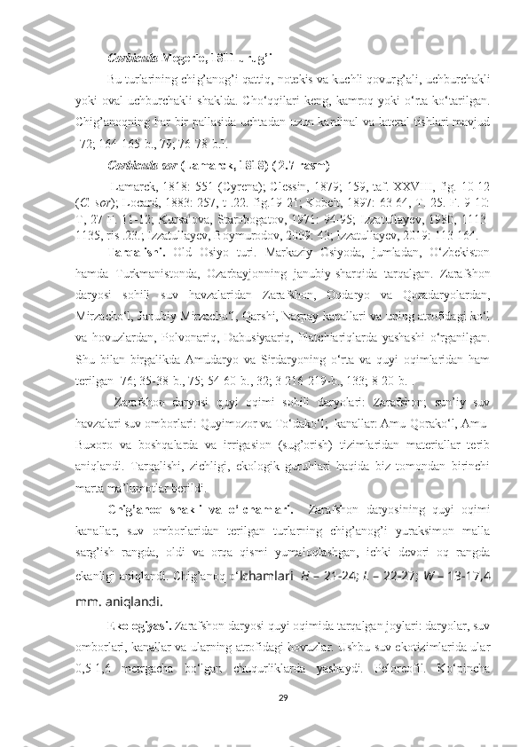 Corbicula  Megerle, 1811 urug’i
Bu turlarining chi g’ ano g’ i qattiq, notekis va kuchli qovur g’ ali, uchburchakli
yoki   oval   uchburchakli   shaklda.  Cho‘qqilari   keng,  kamroq  yoki   o‘rta  ko‘tarilgan.
Chi g’ anoqning har bir pallasida uchtadan uzun kardinal va lateral tishlari mavjud
[72; 164-165- b ., 79; 76-78- b .]. 
Corbicula sor  (Lamarck, 1818)  ( 2.7-rasm)
  Lamarck, 1818:  551 (Cyrena); Clessin,  1879; 159, taf. XXVIII, fig. 10-12
( C. sor ); Locard, 1883: 257, t .22. fig.19-21; Kobelt, 1897: 63-64, T. 25. F. 9-10:
T,  27  F.  11-12;   Kursalova,  Starobogatov,  1971:   94-95;  Izzatullayev,  1980,  1113-
1135, ris .23.; Izzatullayev, Boymurodov, 2009: 43; Izzatullayev, 2019: 113-164.
Tarqalishi.   Old   Osiyo   turi.   Markaziy   Osiyoda,   jumladan,   O‘zbekiston
hamda   Turkmanistonda,   Ozarbayjonning   janubi y- sharqida   tarqalgan.   Zarafshon
daryosi   sohili   suv   havzalaridan   Zarafshon,   Oqdaryo   va   Qoradaryolardan,
Mirzacho‘l, Janubiy Mirzacho‘l, Qarshi, Narpay kanallari va uning atrofidagi ko‘l
va   hovuzlardan,   Polvonariq,   Dabusiyaariq,   Platchiariqlarda   yashashi   o‘rganilgan.
Shu   bilan   birgalikda   Amudaryo   va   Sirdaryoning   o‘rta   va   quyi   oqimlaridan   ham
terilgan [76; 35-38- b ., 75; 54-60- b ., 32; 3-216-219- b ., 133; 8-20- b .].
  Zarafshon   daryosi   quyi   oqimi   sohili   daryolari:   Zarafshon;   sun’iy   suv
havzalari suv omborlari: Quyimozor va To‘dako‘l;  kanallar: Amu-Qorako‘l, Amu-
Buxoro   va   boshqalarda   va   irrigasion   (sug’orish)   tizimlaridan   materiallar   terib
aniqlandi.   Tarqalishi,   zichligi,   ekologik   guruhlari   haqida   biz   tomondan   birinchi
marta ma’lumotlar beri ldi .   
Chig’ano q   shakli   va   o‘lchamlari.     Zarafshon   daryosining   quyi   oqimi
kanallar,   suv   omborlaridan   terilgan   turlarning   chig’anog’i   yuraksimon   malla
sarg’ish   rangda,   oldi   va   orqa   qismi   yumaloqlashgan,   ichki   devori   oq   rangda
ekanligi aniqlandi.   Chig’anoq o‘ lchamlari    H   – 21-24;   L   – 22-27;   W   – 13-17,4
mm.  aniqlandi.  
Ekologiyasi.  Zarafshon daryosi quyi oqimida tarqalgan joylari: daryolar, suv
omborlari, kanallar va ularning atrofidagi hovuzlar. Ushbu suv ekotizimlarida ular
0,5-1,6   metrgacha   bo‘lgan   chuqurliklarda   yashaydi.   Peloreofil.   Ko‘pincha
29 